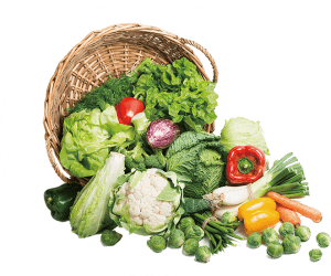 Fresh vegetables